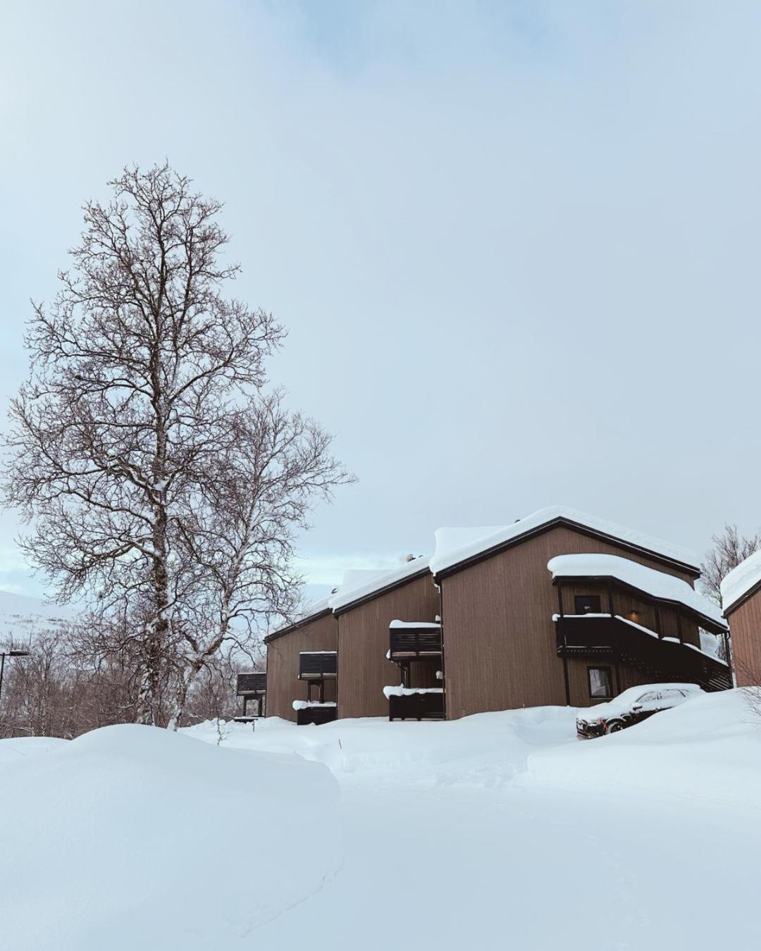 Skaidi Luxury Lodge - Heart Of The Arctic Hammerfest Esterno foto